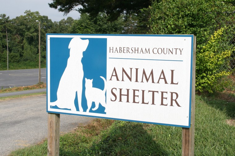 living-animal shelter