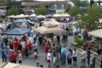 2014 Taste of Clarkesville