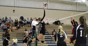 rp_primary_Kaitlin_Norman_616862