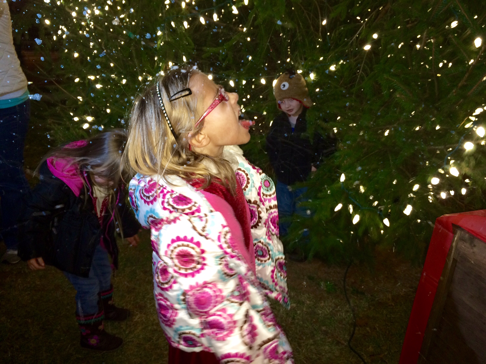 living-Clarkesville Christmas 2014