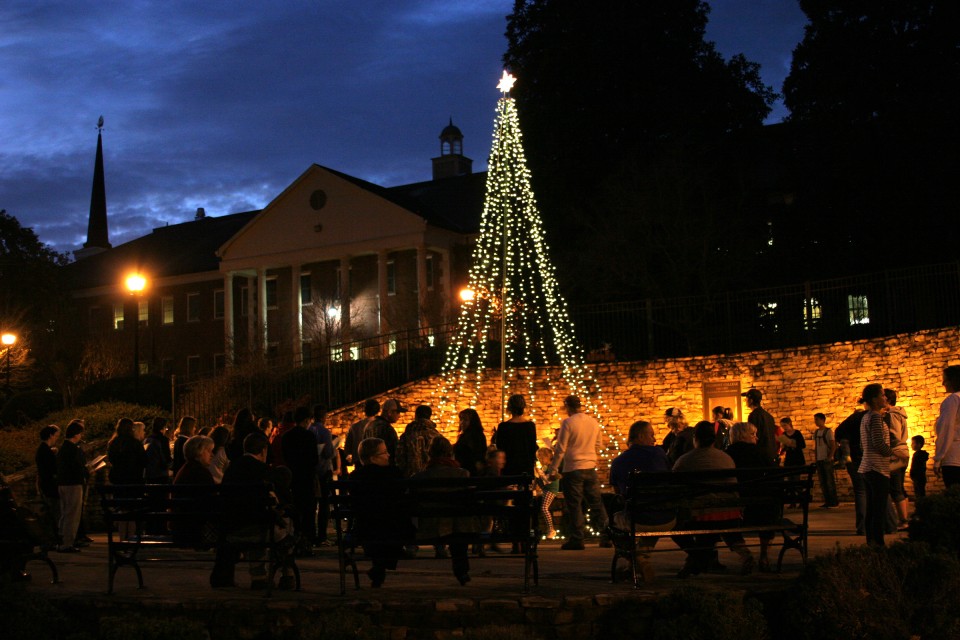 PC-Tree-Lighting-IMG_0959-1