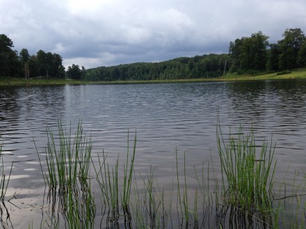 Cornelia Reservoir Depth Indicator