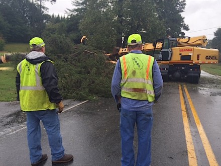 tree topples near bethlehem baptist in rain soaked soil