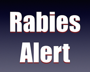 rabies alert.001