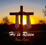 Life in Motion: SONrise