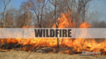 Wildfire Burns 22 Acres Northwest of Helen