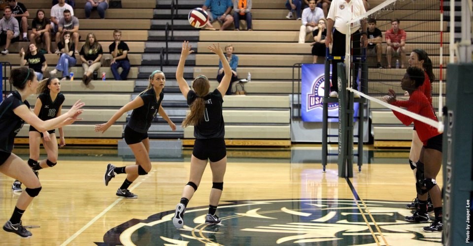 rp_primary_lainey_choiniere_30177573146_e24b8e2f26_o_1_