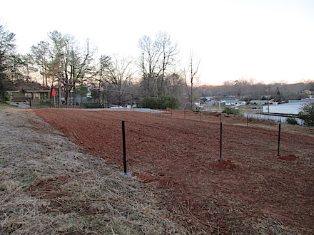 Cornelia community garden Harvest Garden 2017