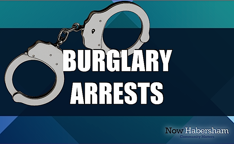 burglary arrests large