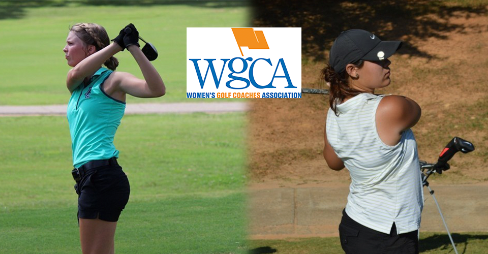 WGCA_Scholar_2017
