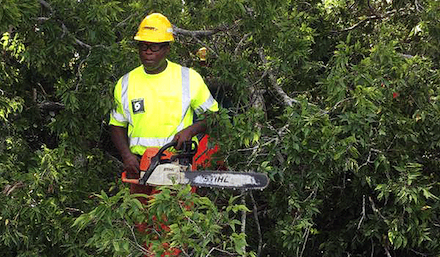 GDOT chain saw