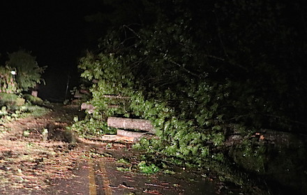 Irma storm debris