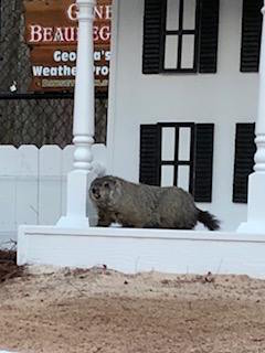 General Beauregard Lee Groundhog Day 2018