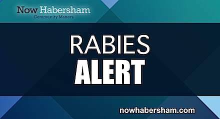 Rabies Alert copy