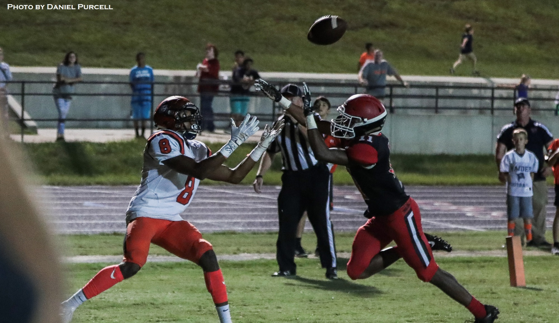 donovan-curry-2-2018-purcell