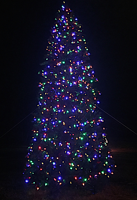 Alto Christmas tree 2017