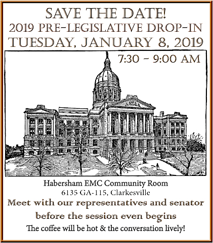 Pre-Legislative Drop-In 2019