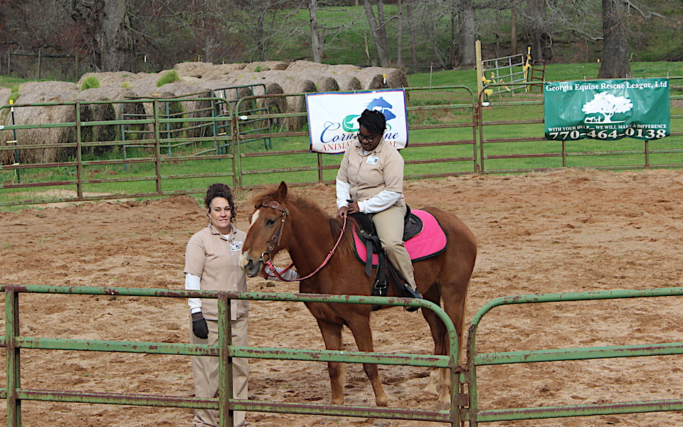 LASP Equine program2