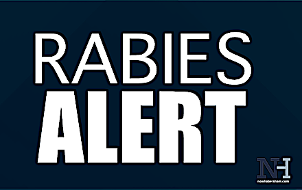 Rabies Alert