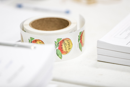 Voting Nov. 5 2019 election6 copy