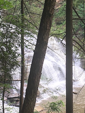 HABSAR-rescue-Panther-Creek-Falls-2