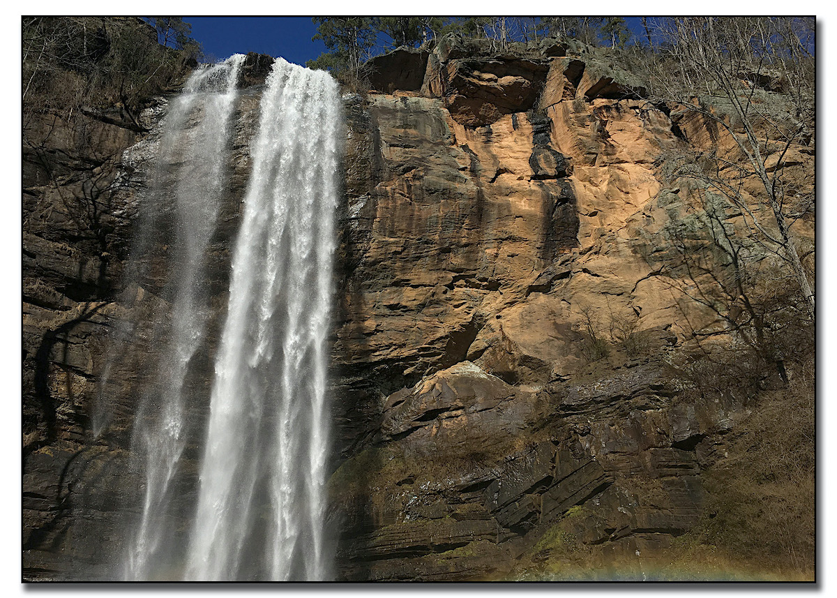 First place Anna Brown