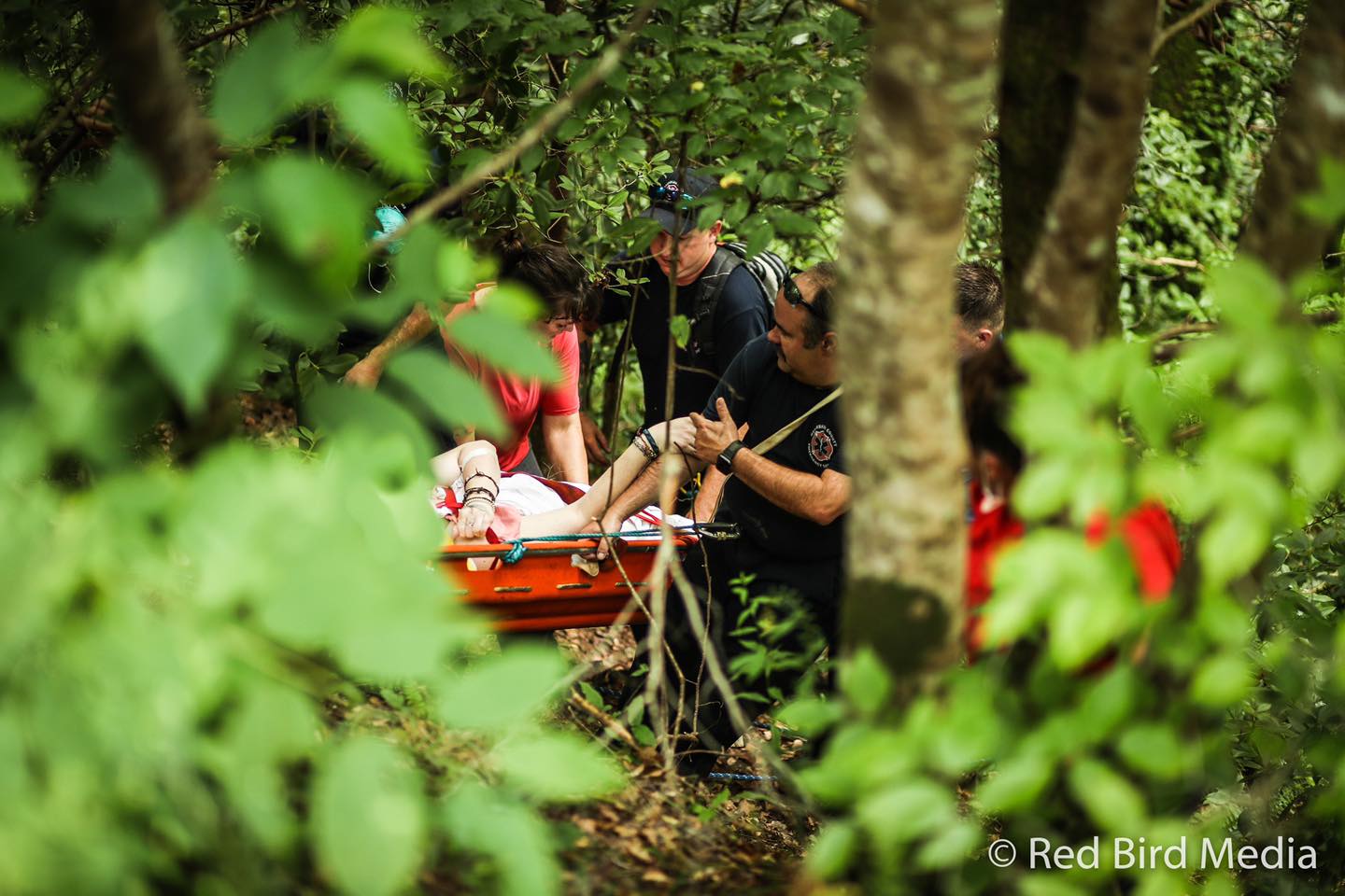 Filmy Ferns Waterfall rescue9
