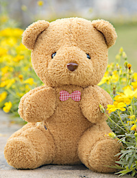 Teddy bear