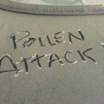 The “pollening” has begun