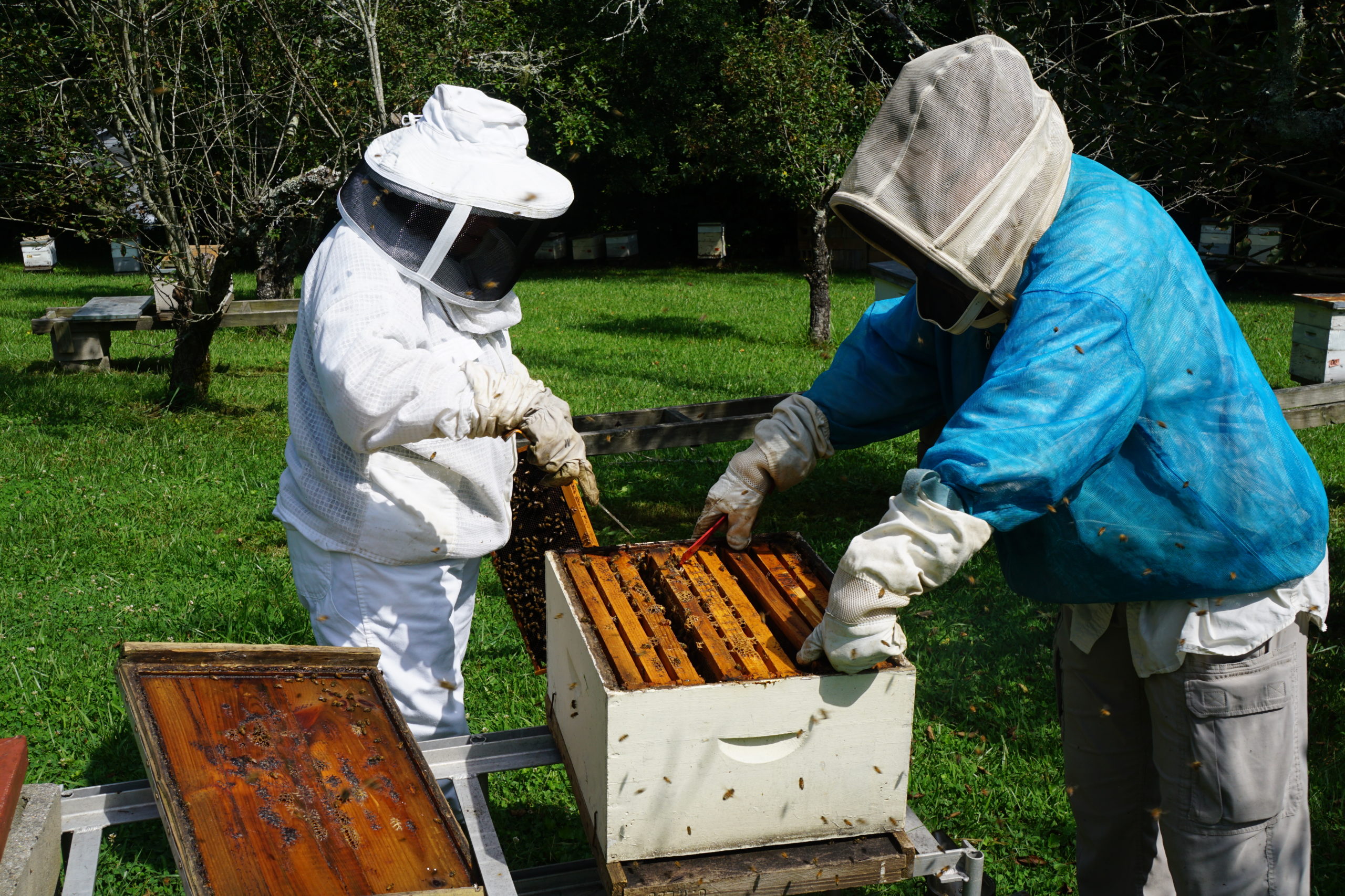 Virginia Webb, Katie Goodman