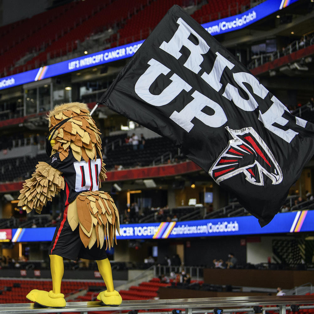 Panthers Falcons Football