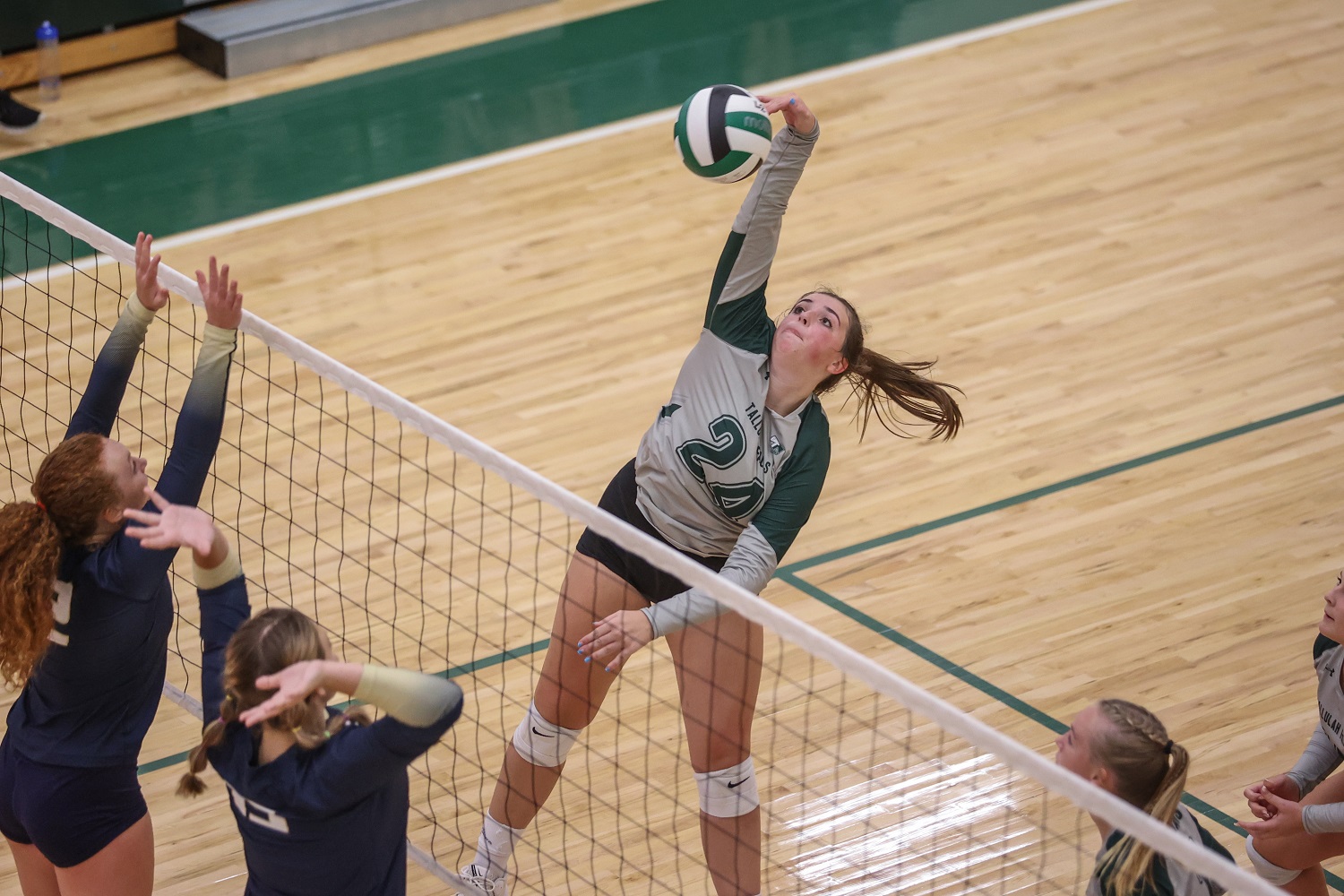 Addy McCoy 2021 BYARGEON