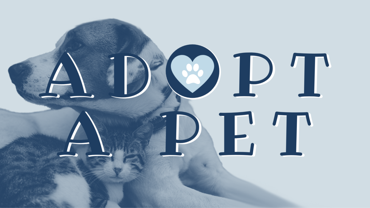 ADOPT-A-PET