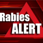 Rabid skunk bites dog in White County