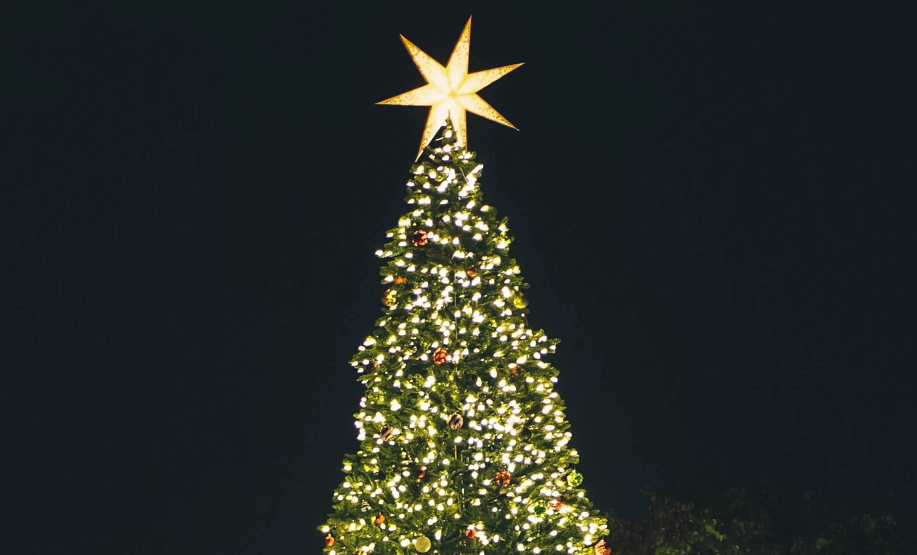 Christmas tree lighting