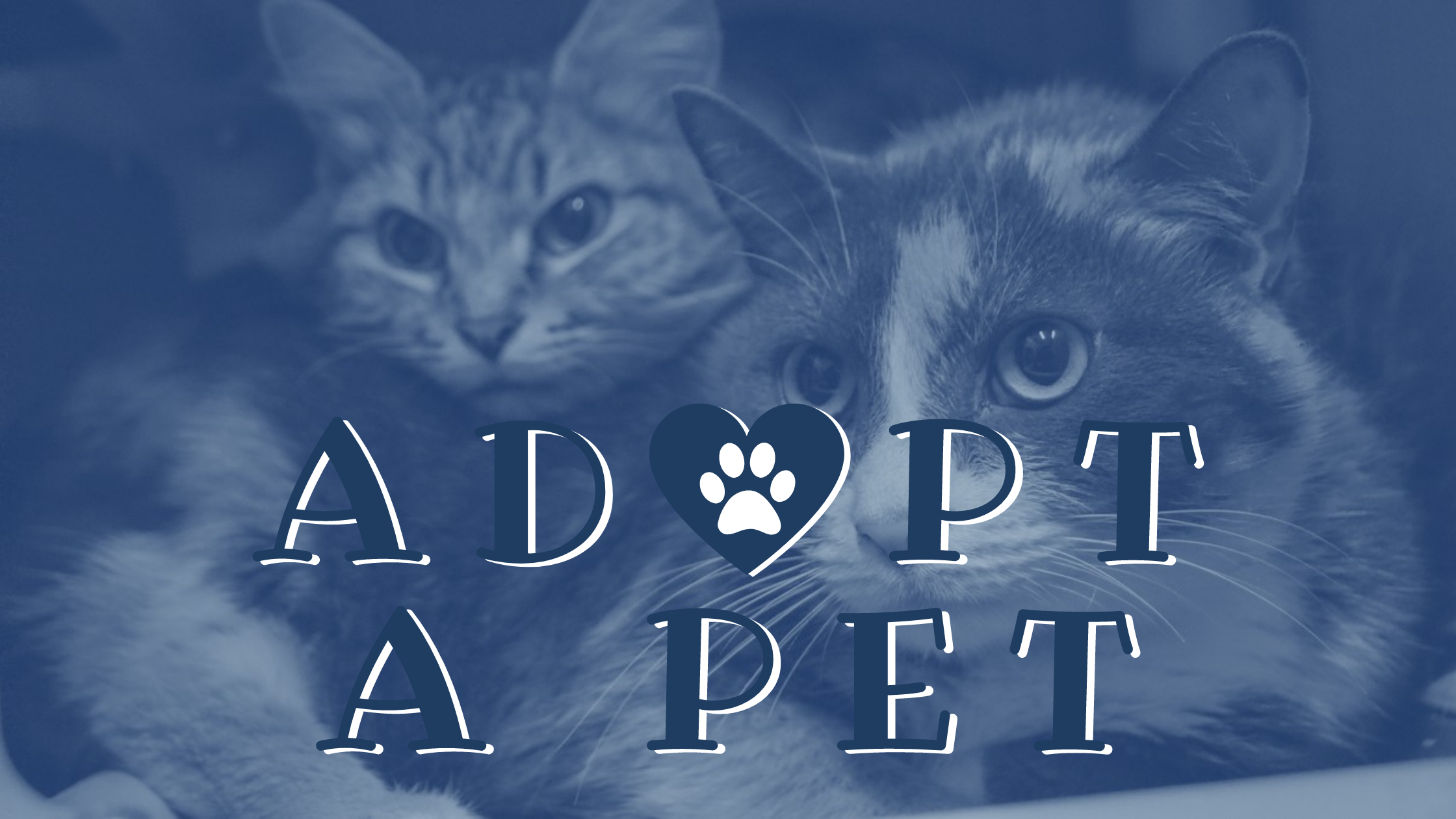 ADOPT-A-PET (4)