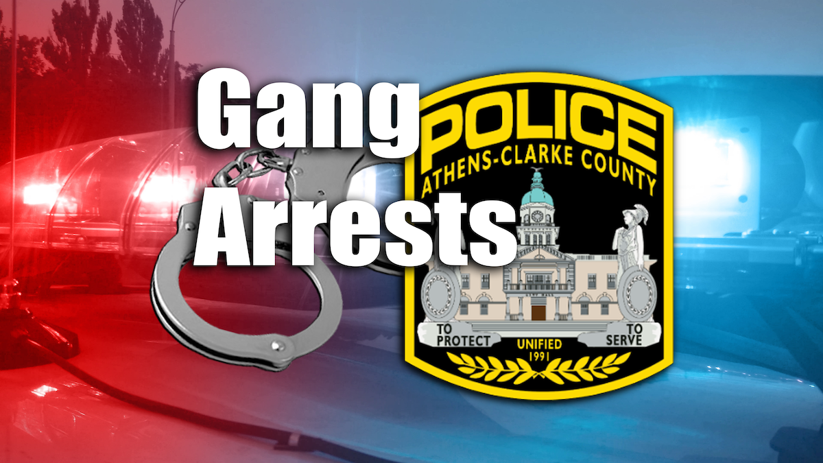 gang arrests