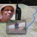 Timeline of search for missing Mattie Mizell