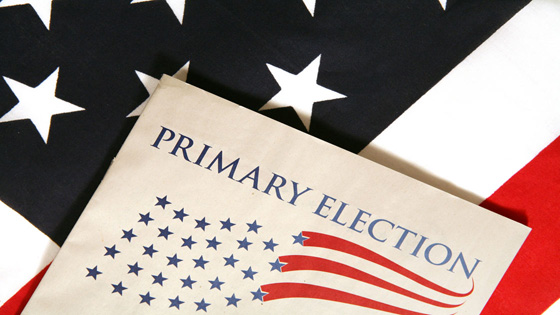 primary-election