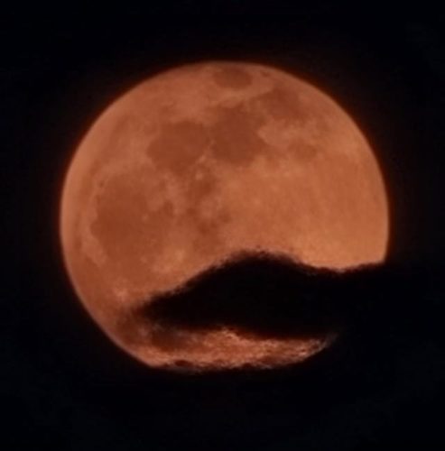 281605840_902558241143321_802733421873804187_n