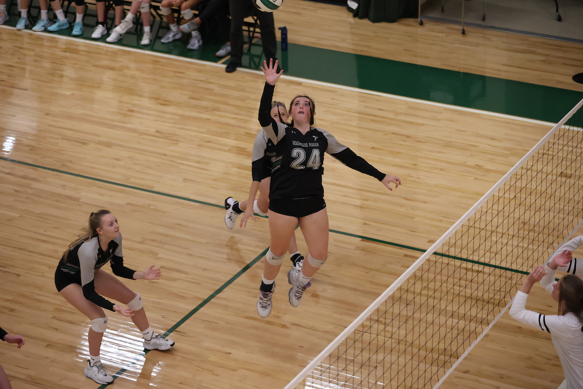 Addy McCoy 2022 POFFENBERGER