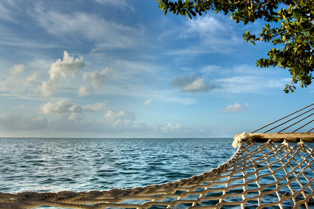 hammock by the water