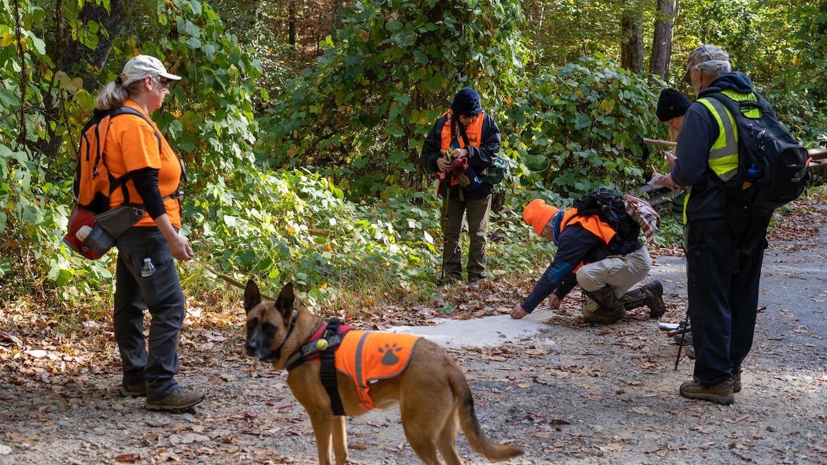 White County CERT2023-01-18 at 9.07.37 AM