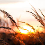 He speaks to me everywhere