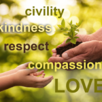 Planting a garden of wisdom