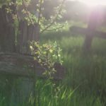 Life beyond the grief and sorrow