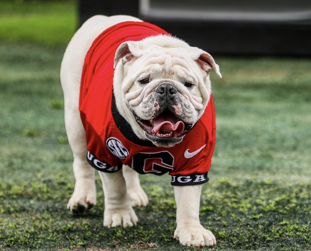 Uga XI