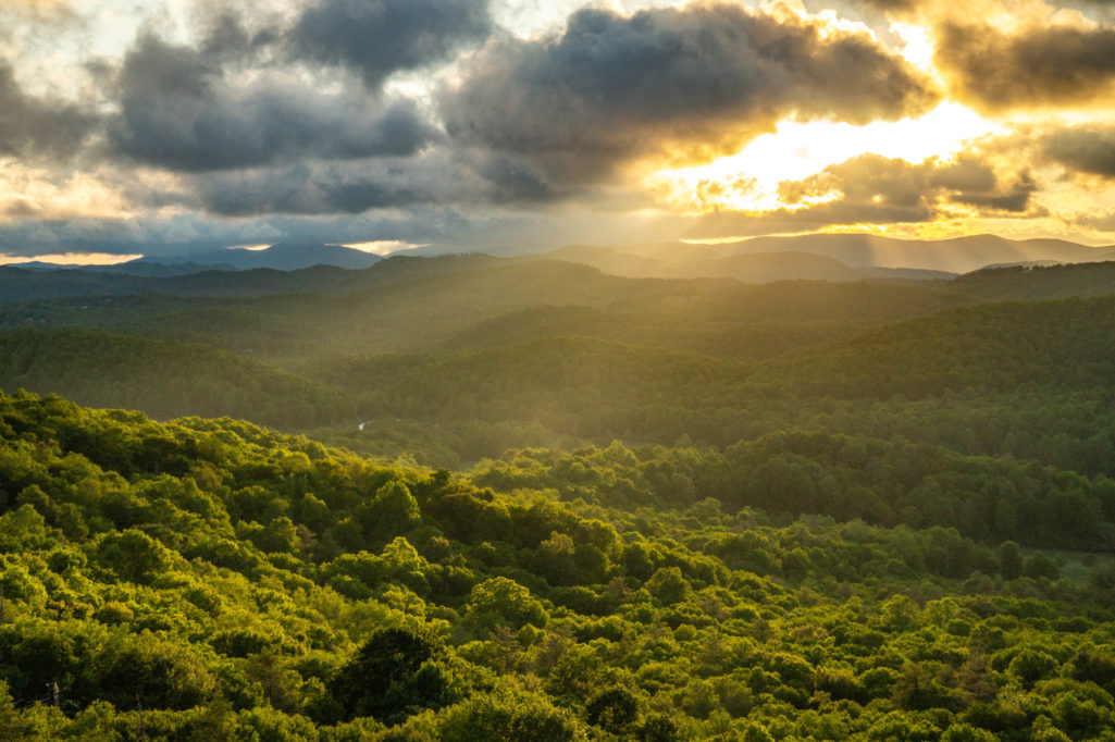 Roads Less Traveled: Spring marches on
