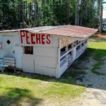 All just ‘pechy’ at fruit stand where a misspelled word blossomed into a landmark