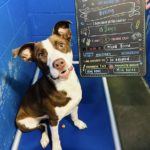 Life in Motion: First day photos